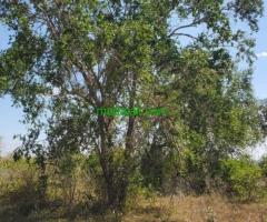 Shamba linauzwa