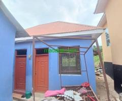 Chumba single kinapangishwa